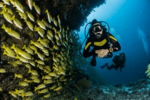 Why Continuing Your Dive Education Matters