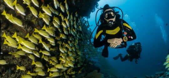 Why Continuing Your Dive Education Matters