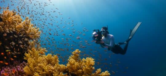 An Introduction to Underwater Photography: Capture Your Diving Memories in Stunning Detail