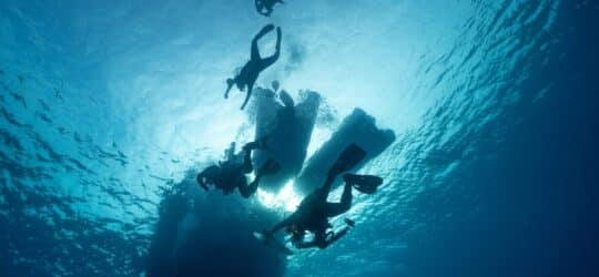 Top Dive Sites to Explore This Year: Best Underwater Adventures