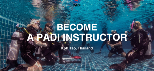 IDC master divers