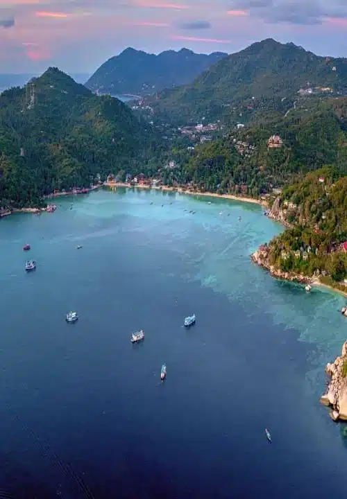 Koh Tao Dive Report 10.11 &#8211; 16.11