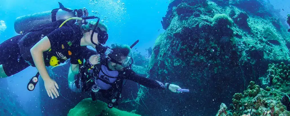 Dive without certification