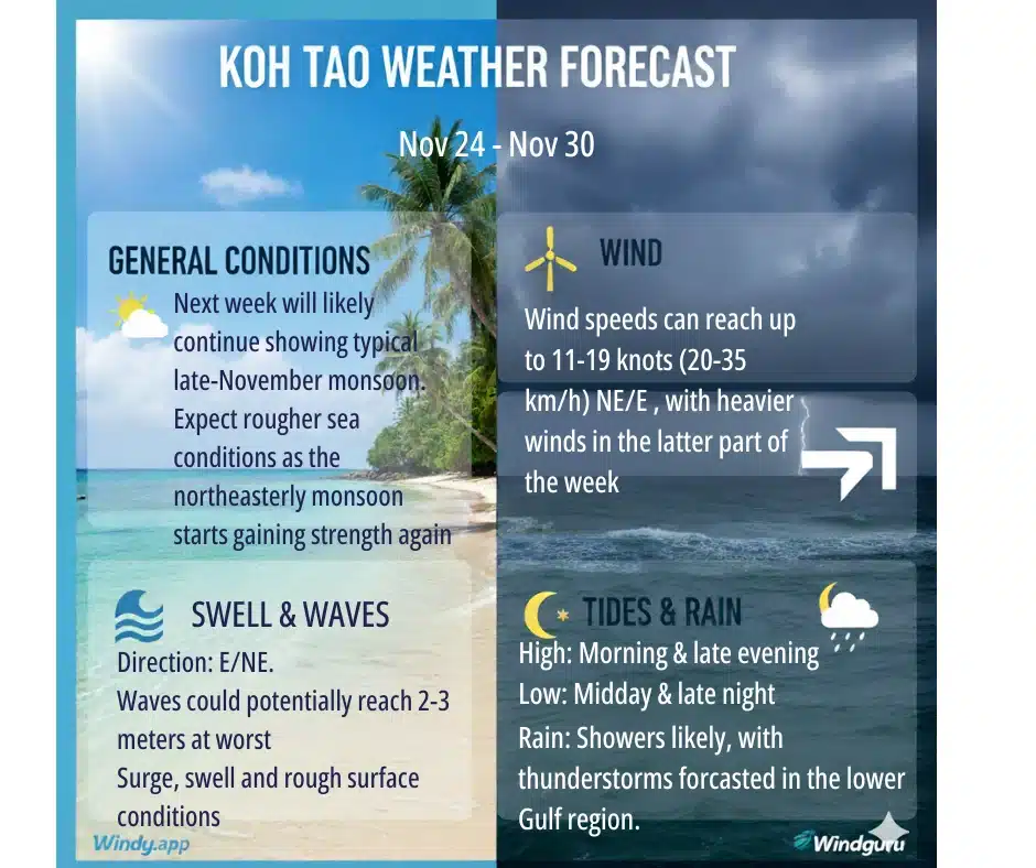 Koh Tao Dive Report 24.11 - 30.11 1 Koh Tao Dive Report 24-30.11