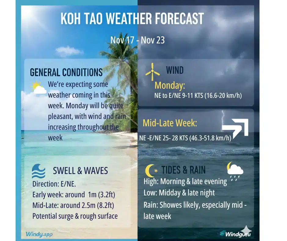 Koh Tao Weekly Dive Report 17-23.11
