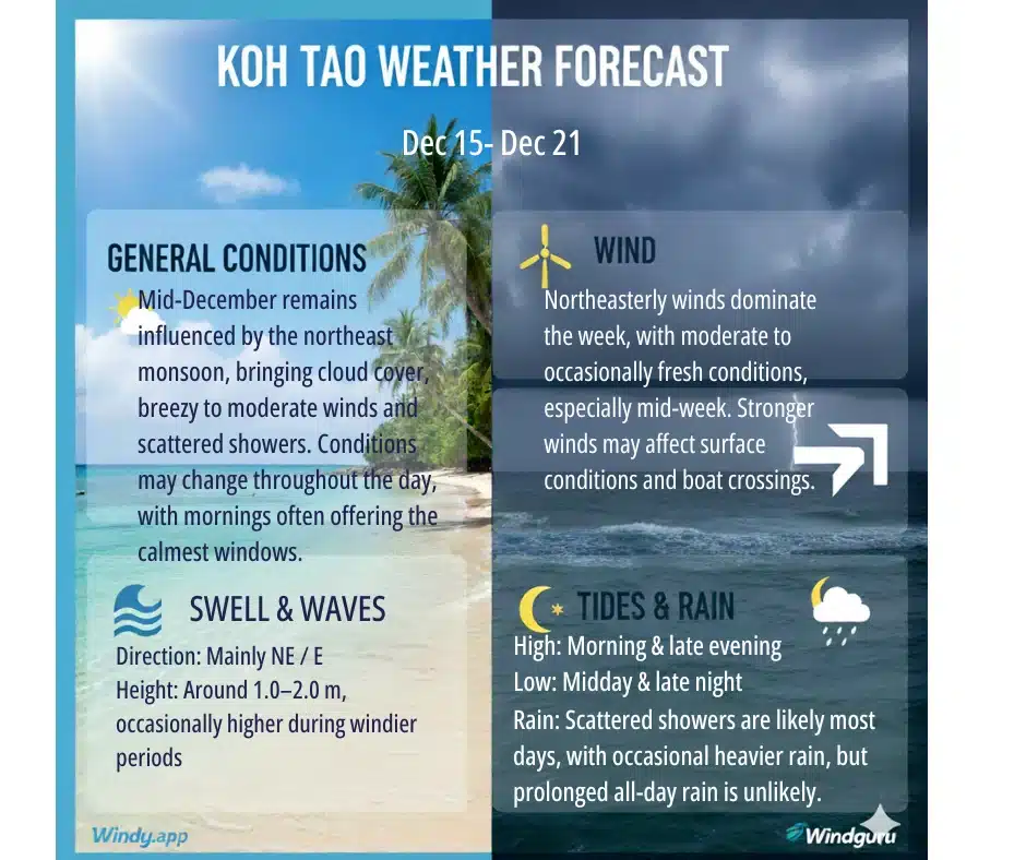 Koh Tao Weekly Dive Report Dec 15 - 21 1 Dive report 15 21dec
