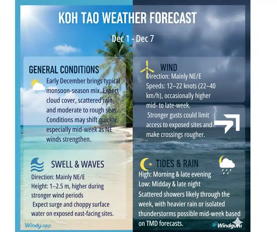 Koh Tao Dive Report 01.12 - 07.12