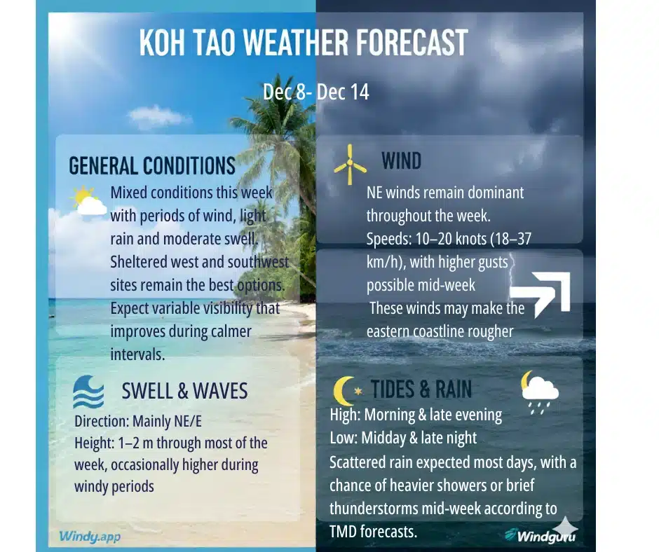 weekly dive report 8.12