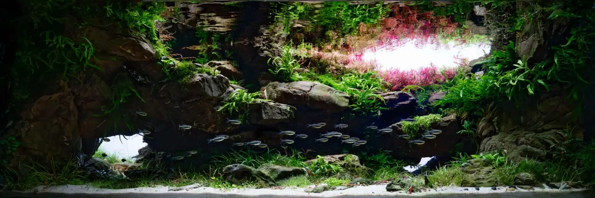 Aquascaping lessons for divers