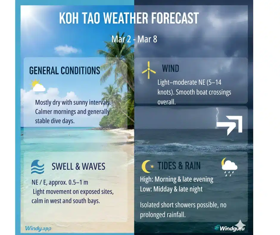 Koh Tao Weekly Dive Site Report Mar 2 - Mar 8 1 Dive report mar2 8